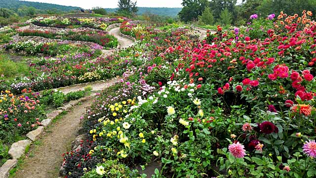 NaturaGart Newsletter 18. September 2025